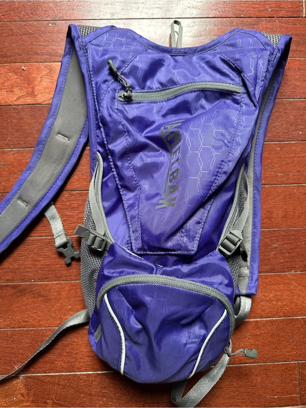 CamelBak Purple Hydration Backpack with Gray Accents